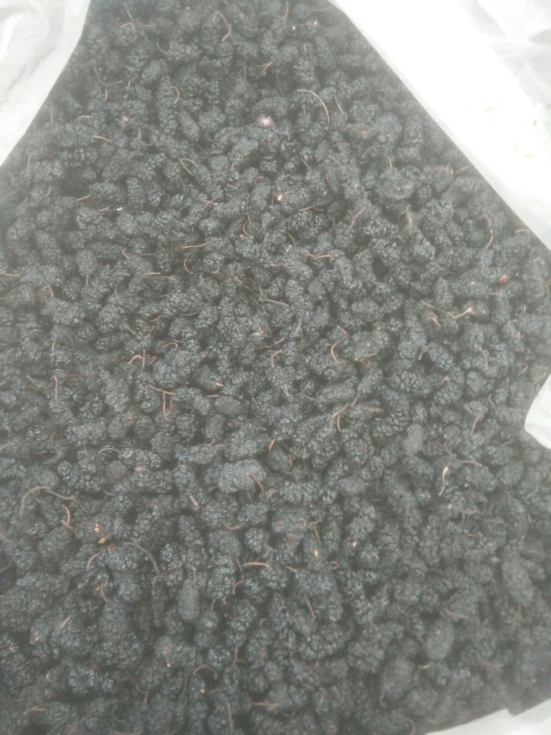 桑椹干，桑椹子大量批发零售，无碎粒免洗，产地发货