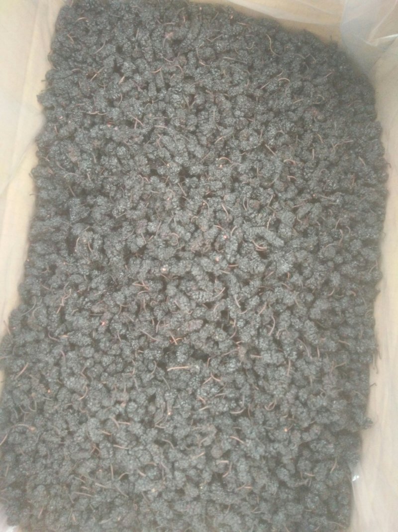 桑椹干，桑椹子大量批发零售，无碎粒免洗，产地发货