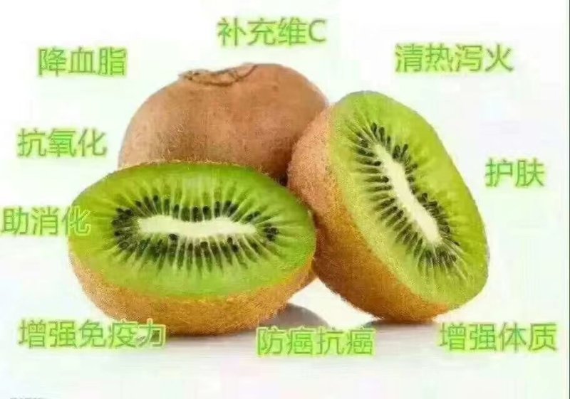 供应，猕猴桃徐香，海沃德