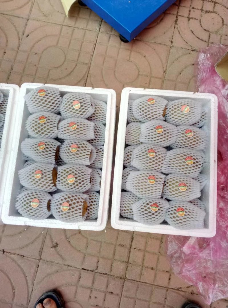 供应，猕猴桃徐香，海沃德