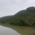 桃形李，特大