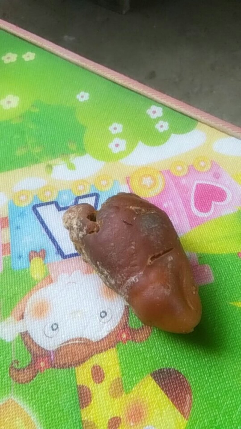 鸡宝