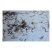 万合水产养殖有限公司出售优良品种规格齐全黄鳝苗