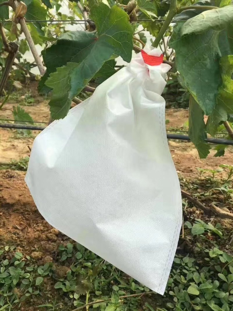 无纺布葡萄套袋