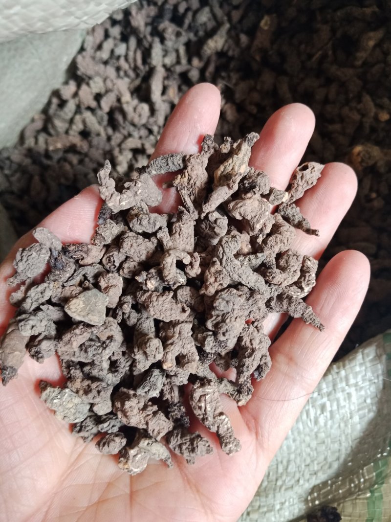 天葵子中药材一公斤冷背天葵子批发零售各种规格中药材
