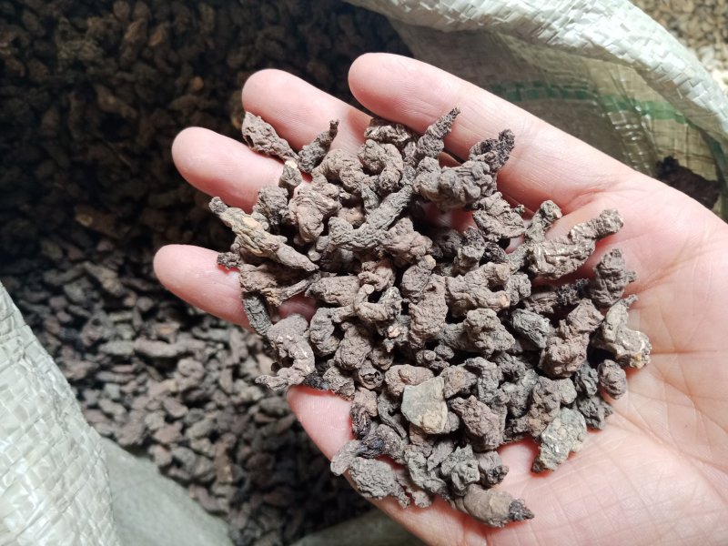 天葵子中药材一公斤冷背天葵子批发零售各种规格中药材