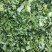 出售新鲜发酵打包玉米桔杆。皇竹草青储草料