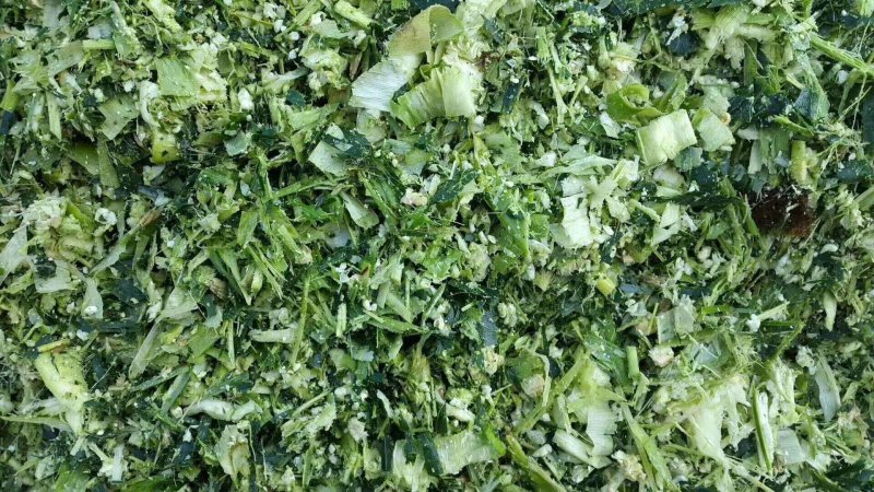 出售新鲜发酵打包玉米桔杆。皇竹草青储草料