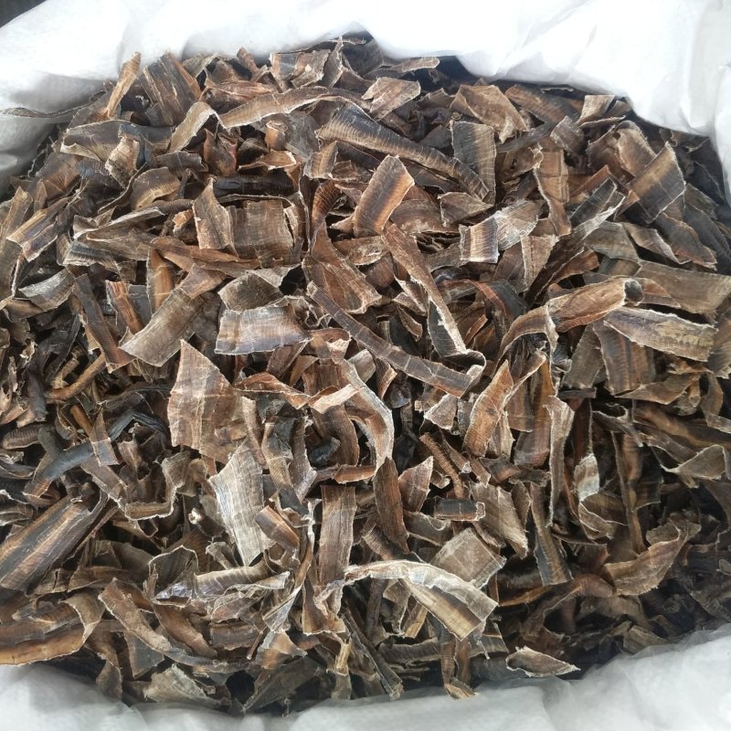 振兴药材批发供应地龙段规格齐全产地直供一手货源全国发货