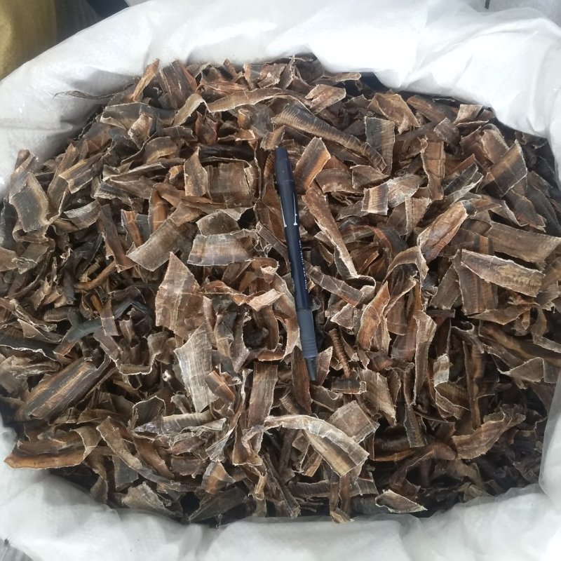 振兴药材批发供应地龙段规格齐全产地直供一手货源全国发货