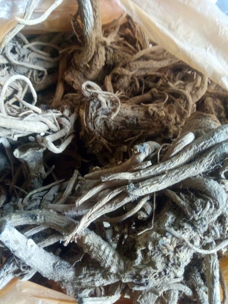 华亭肉独活，独活、(甘肃华亭产地直销)