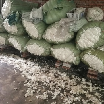 大量兔毛出售