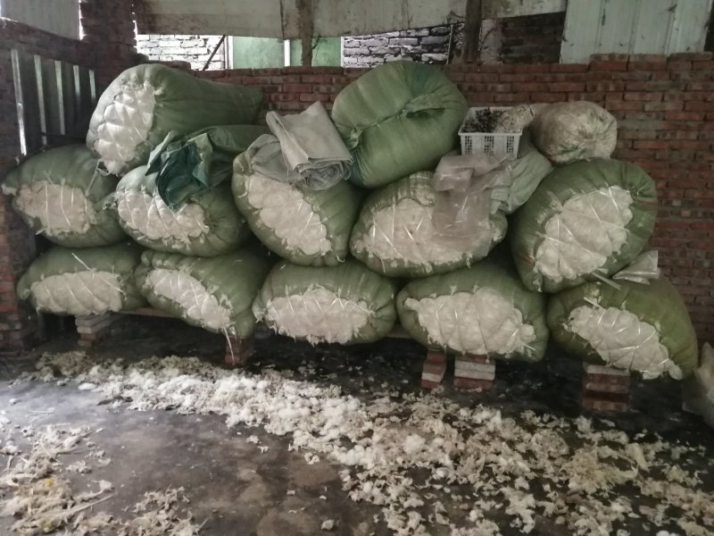 大量兔毛出售