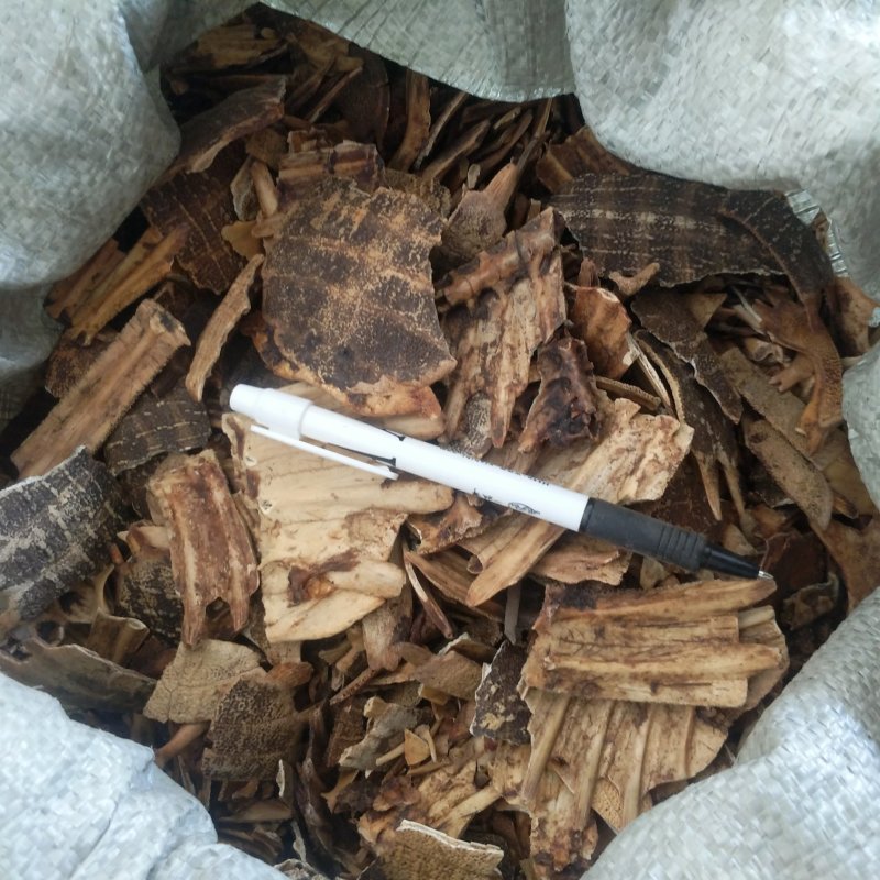 振兴药材批发供应炒鳖甲规格齐全产地直供一手货源全国发货