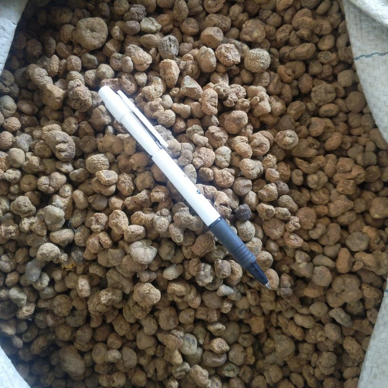 元胡个振兴药材批发供应元胡个规格齐全大货批发