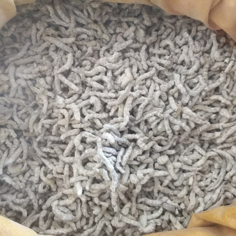 振兴药材批发供应僵蚕规格齐全