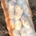 大量供应唐山荷兰十五三两起步七毛