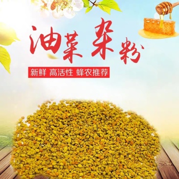 蜂饲料花粉养蜂喂蜂专用花粉蜂粮蜂用颗粒花粉油菜杂粉