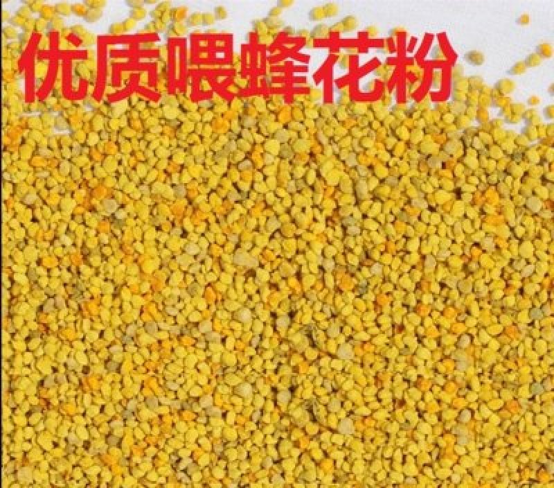 蜂饲料花粉养蜂喂蜂专用花粉蜂粮蜂用颗粒花粉油菜杂粉