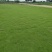 马尼拉草坪四级长青值得信赖江西省新余市顺成草坪基地