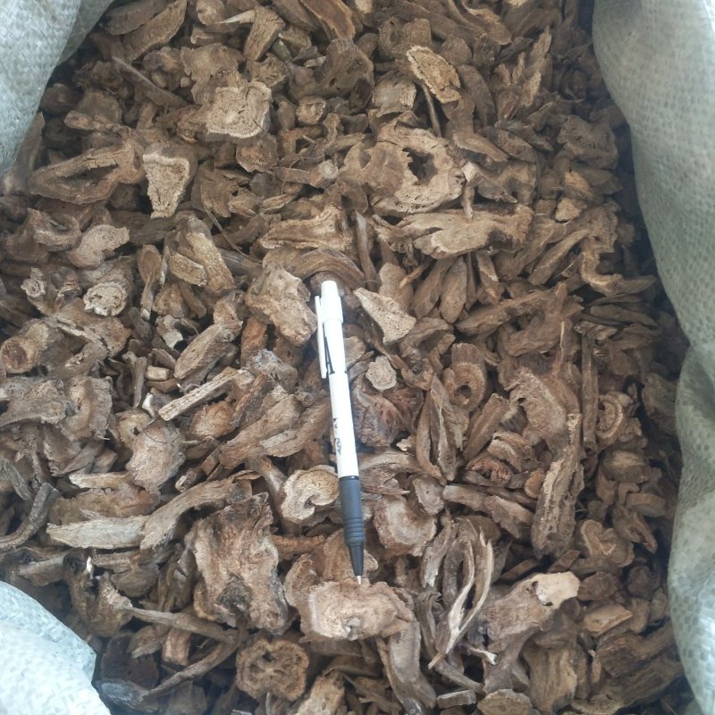 振兴药材批发供应木香规格齐全产地直供一手货源全国发货