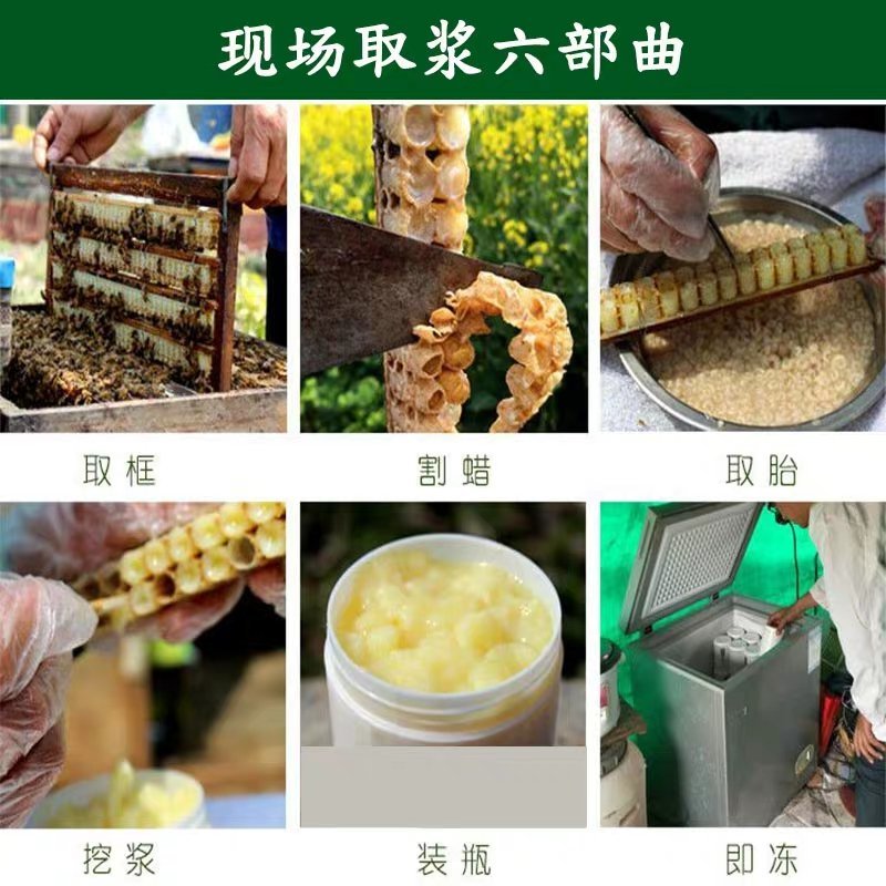 蜂王浆蜂皇浆现取速冻蜂王浆蜂王浆蜂皇浆现取速冻蜂王浆