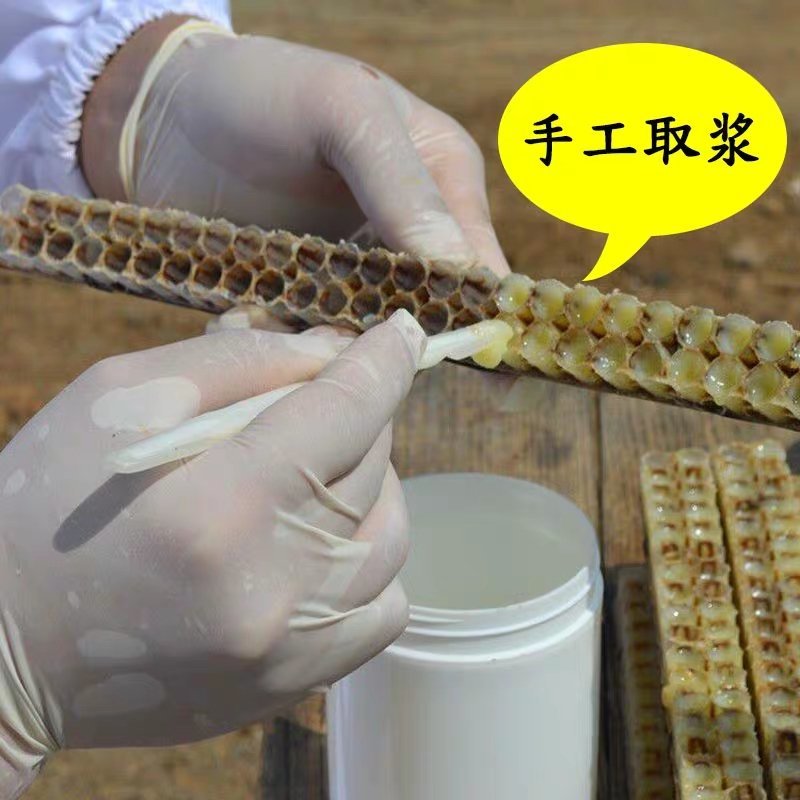 蜂王浆蜂皇浆现取速冻蜂王浆蜂王浆蜂皇浆现取速冻蜂王浆