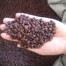 振兴药材批发供应南无味子规格齐全产地直供一手货源全国发货