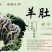 新疆天山野生羊肚菌干品（特优）