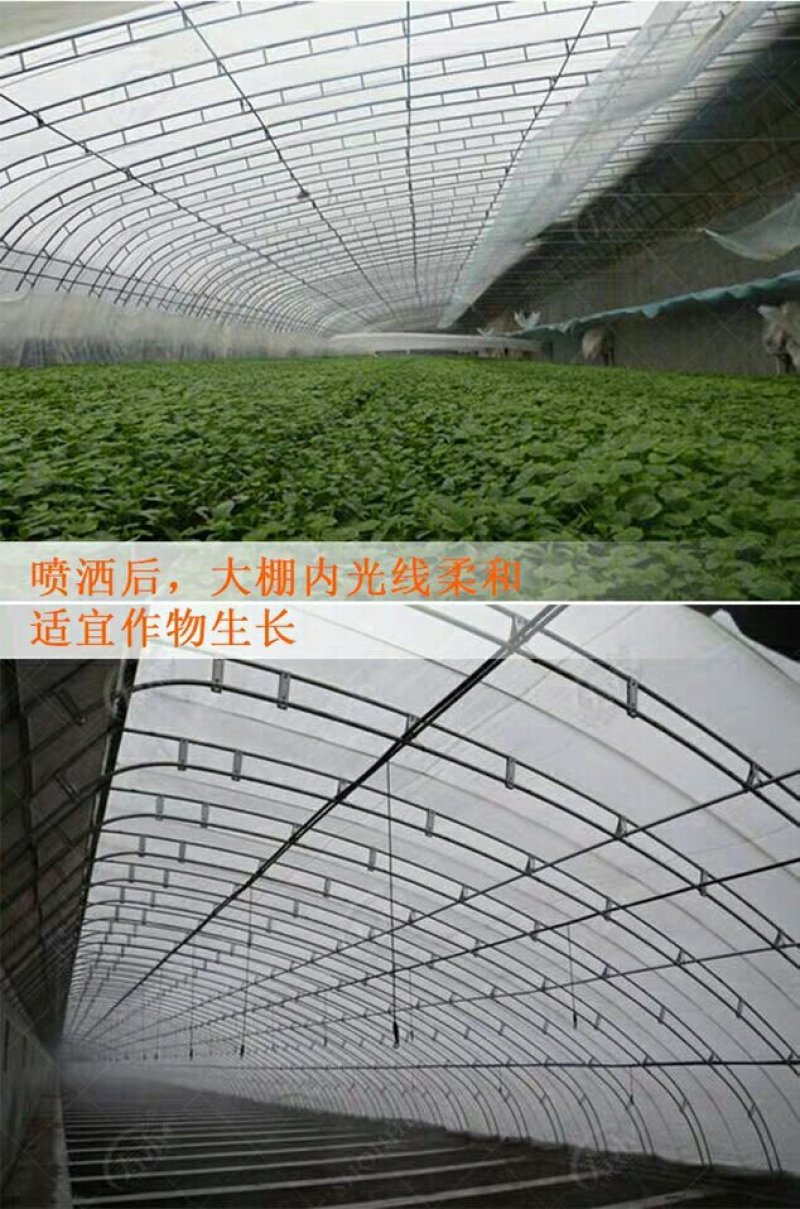 大棚降温剂，降温涂层，高效降温剂，正品降温剂，进口降温剂