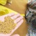 2026年黄菜籽油色好！。丁旗过牛河菜籽交易中心