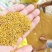 2026年黄菜籽油色好！。丁旗过牛河菜籽交易中心