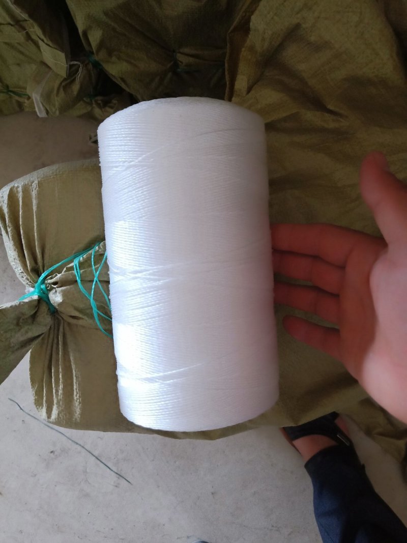 大棚轮胎线吊秧绳蔬菜黄瓜吊蔓绳塑料绳子西红柿吊绳辣椒绳