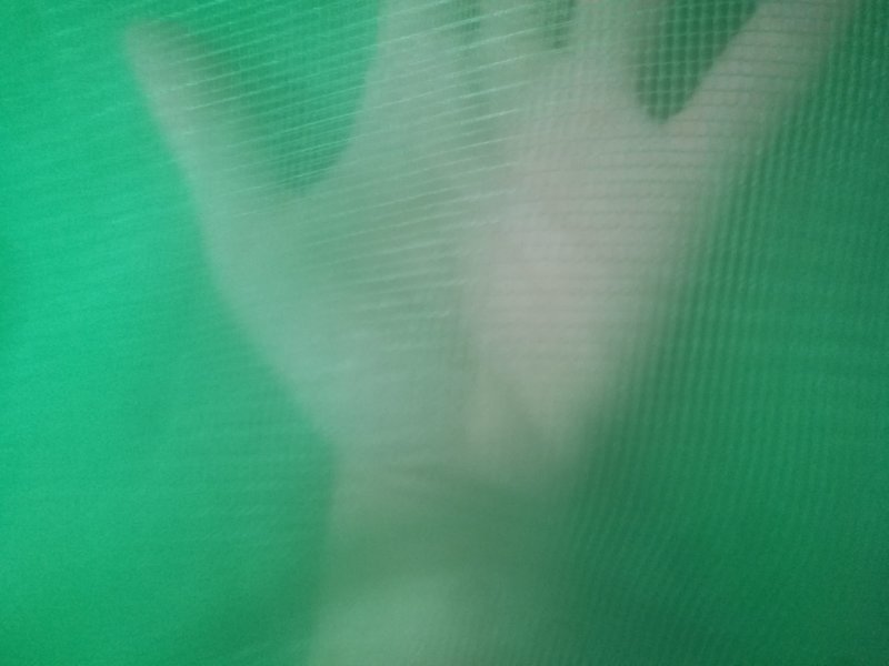 网袋子
