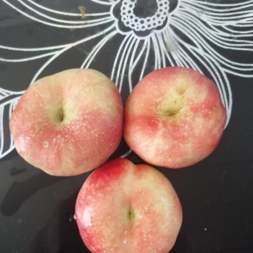 油蟠桃