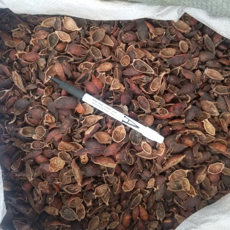振兴药材批发供应金樱子肉规格齐全产地直供一手货源全国发货