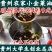 包邮贵州菜油菜籽油