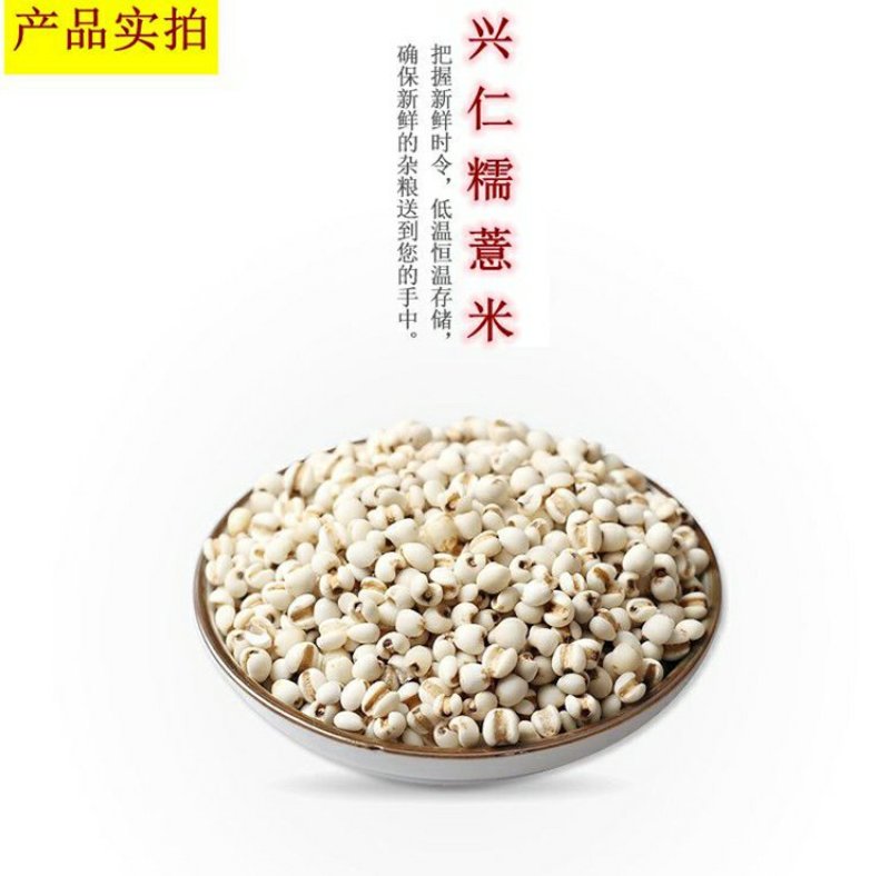 贵州新鲜糯薏米薏苡仁小薏米仁五谷杂粮粗粮500g真空包装