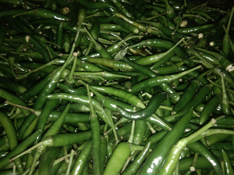小米椒
