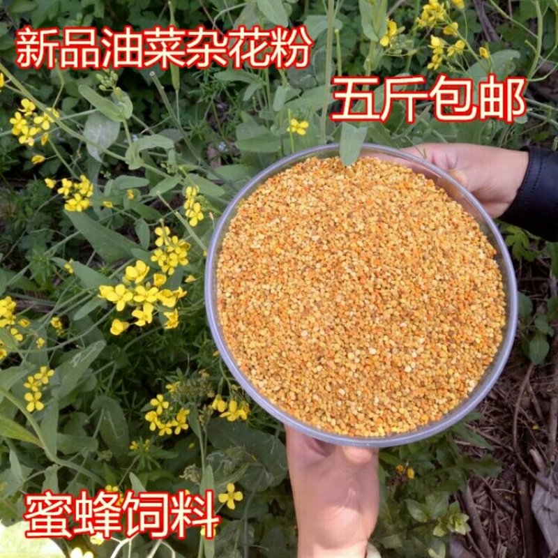 花粉养蜂包邮饲料蜜蜂喂蜂花粉颗粒喂蜂杂粉蜂粮饲喂蜂具油菜