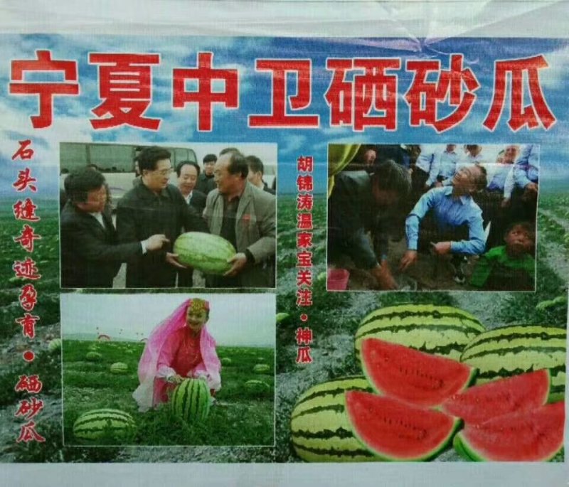 硒砂瓜