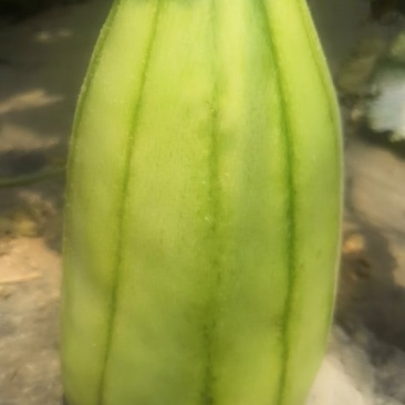 量大从优