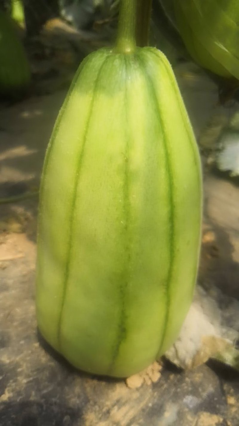 量大从优