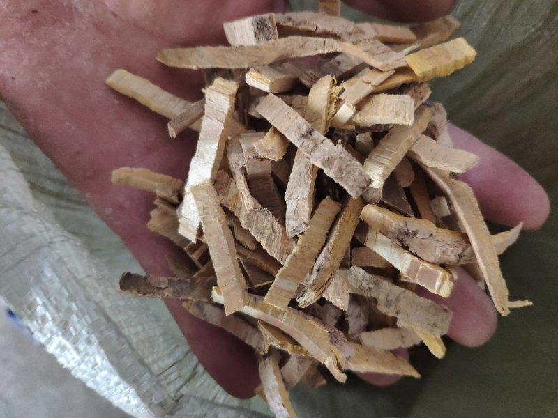 黄柏生黄柏量大优惠质量保证代抓各种药方