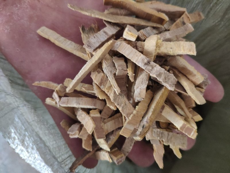 黄柏生黄柏量大优惠质量保证代抓各种药方