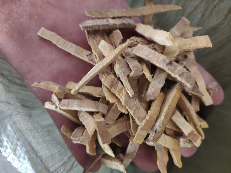黄柏生黄柏量大优惠质量保证代抓各种药方