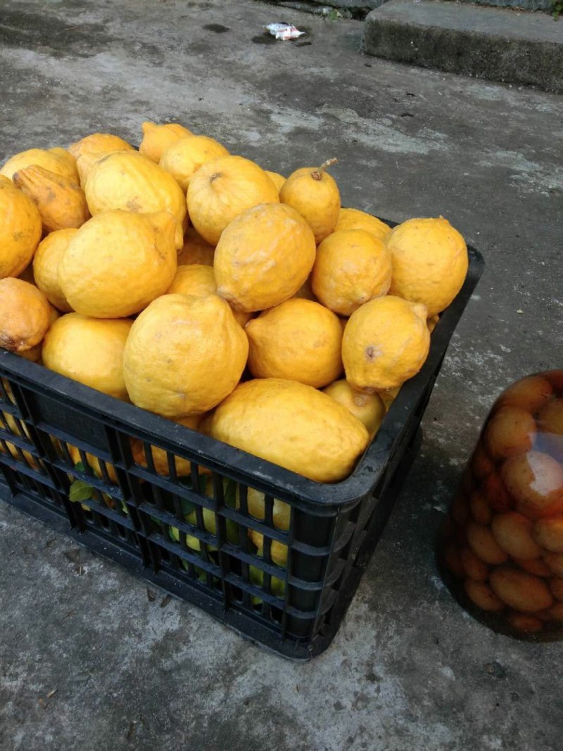 干柠檬片柠檬干片泡茶即食干片
