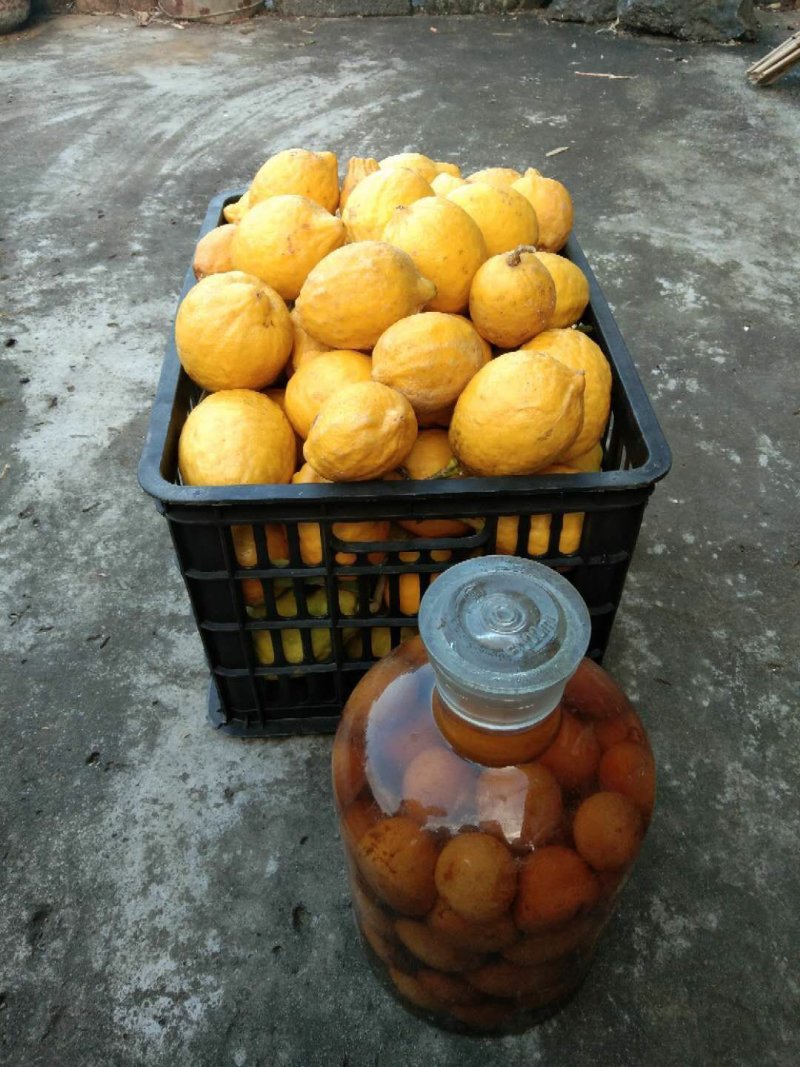 干柠檬片柠檬干片泡茶即食干片
