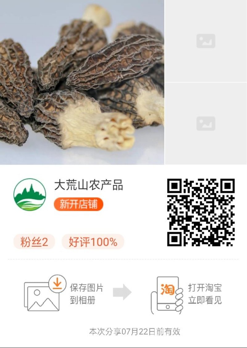 羊肚菌