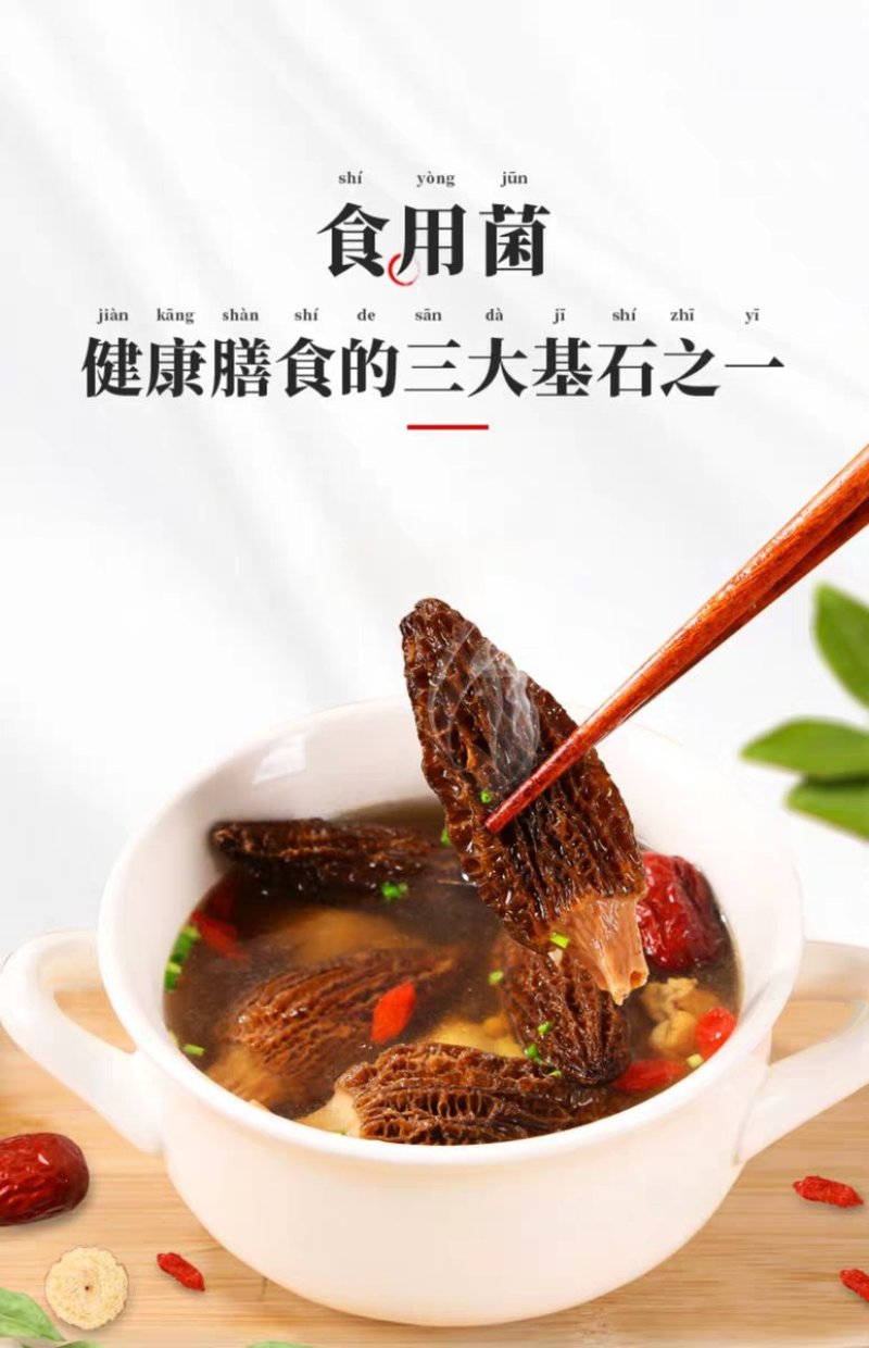 羊肚菌